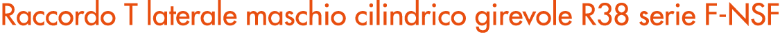 Raccordo T laterale maschio cilindrico girevole R38 serie F NSF