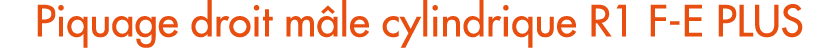 Piquage droit m le cylindrique R1 F E PLUS