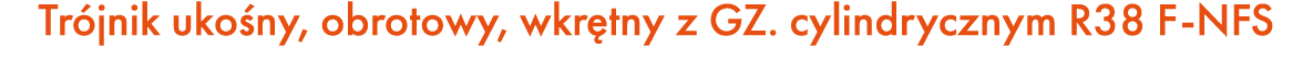 Tr jnik uko ny, obrotowy, wkr tny z GZ. cylindrycznym R38 F NFS